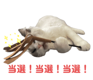 793922000