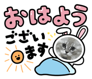 793926417
