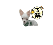 793931836