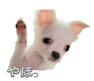 793931837