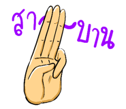 79393554