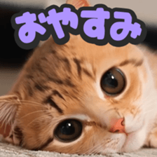 793965103
