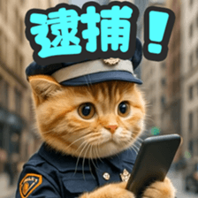 793965118