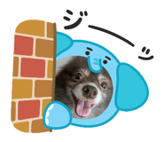 793975028