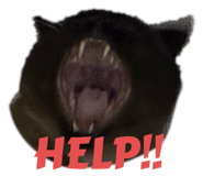 793979050
