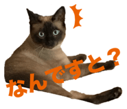 793979054
