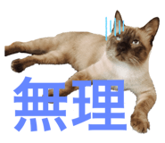 793979056