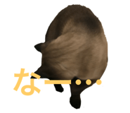 793979063