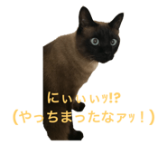 793979064