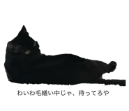 793997994