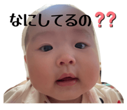 794009445