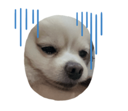 794011876