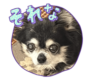 794014075