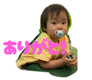 794016677