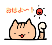 794017579