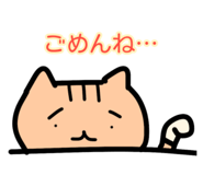 794017581