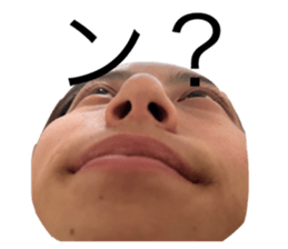 794023813