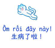 794028880