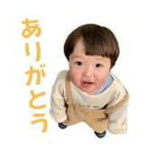 794030529