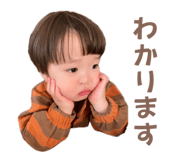 794030549