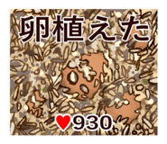 794031490