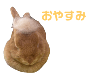 794038164