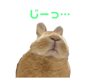 794038168