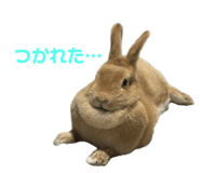 794038177
