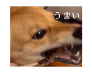 794040161