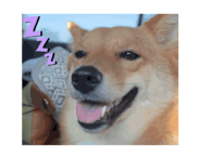 794040168