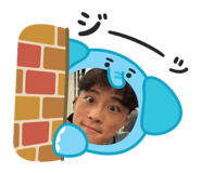 794049655