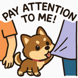 794067804