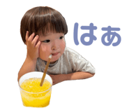 794075856