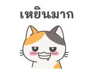 794080426