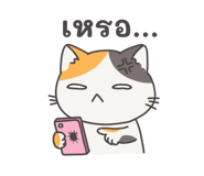 794080429