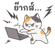 794080437