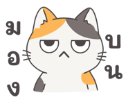 794080444