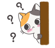 794080445