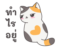 794080452