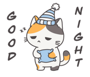 794080454
