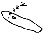 794083375