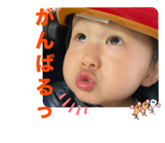 794091822