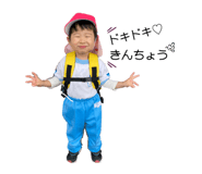 794091833