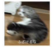 794094673