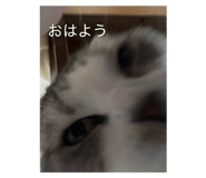 794094678