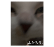 794094680