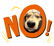 794140522