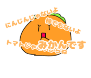 794145519