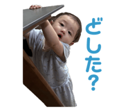 794151864