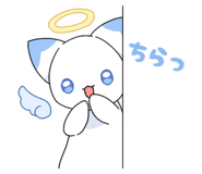794155898